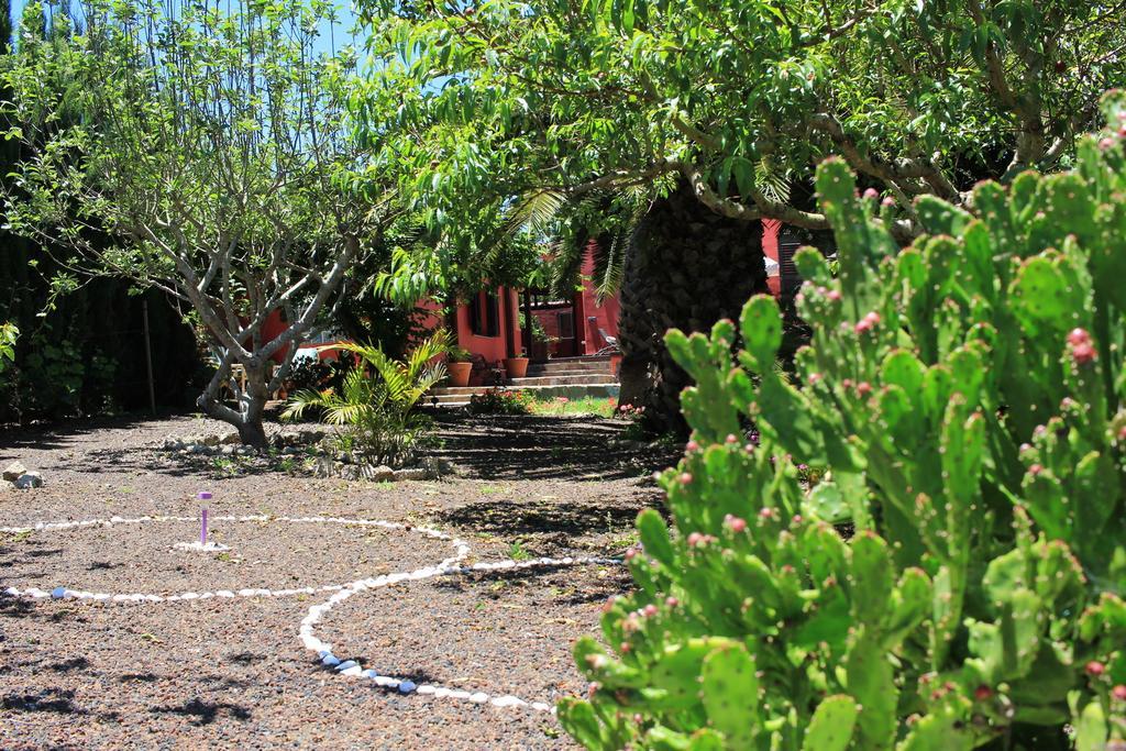 Luxury House In The Heart Of Tenerife 拉拉古纳 外观 照片